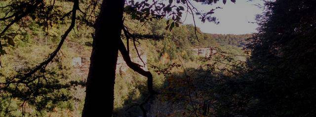 Conkle's Hollow Fall Hike