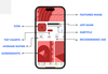 A diagram of an iphone screen, with the different areas of the metadata annotated