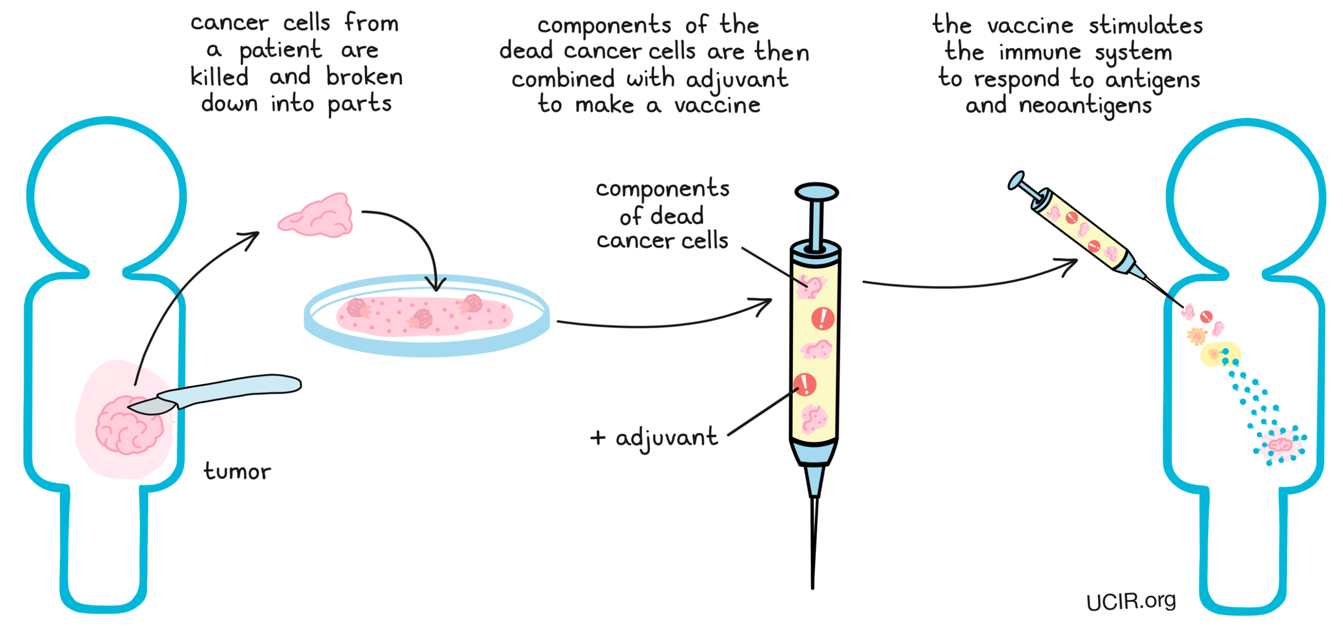 Illustration showing a vaccine made with dead cancer cells