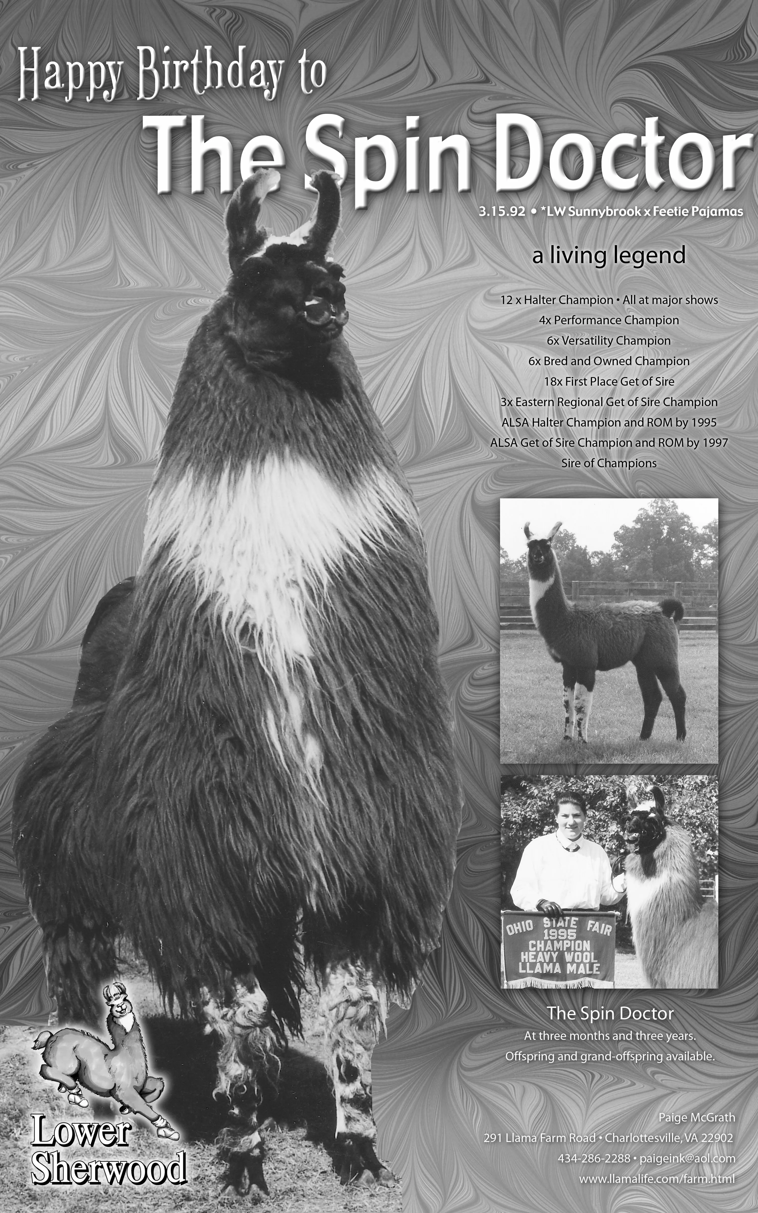 Advertisement for The Spin Doctor from Llama Life II, number 77.