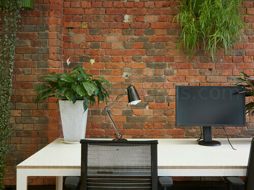 Urban garden style private office featuring simple white desk with lamp and computer  Zoom background