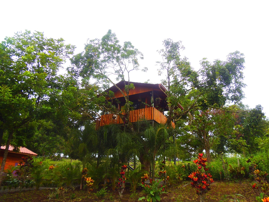 Heliconias Nature Lodge Arenal Volcano Costa Rica