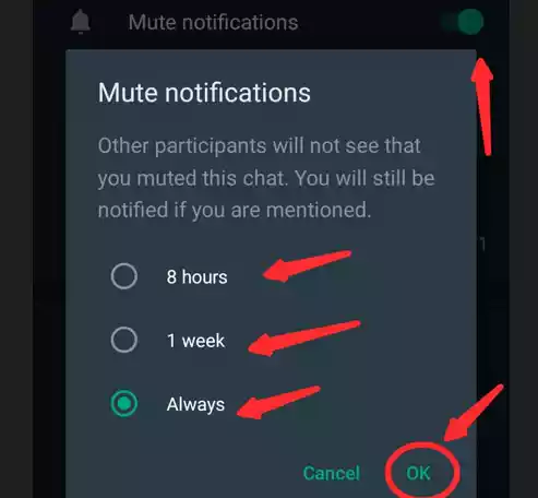 How to Mute or Unmute Group Notifications on WhatsApp?