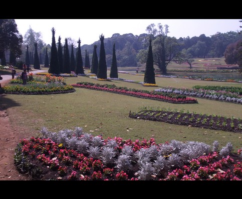 Burma Gardens 26