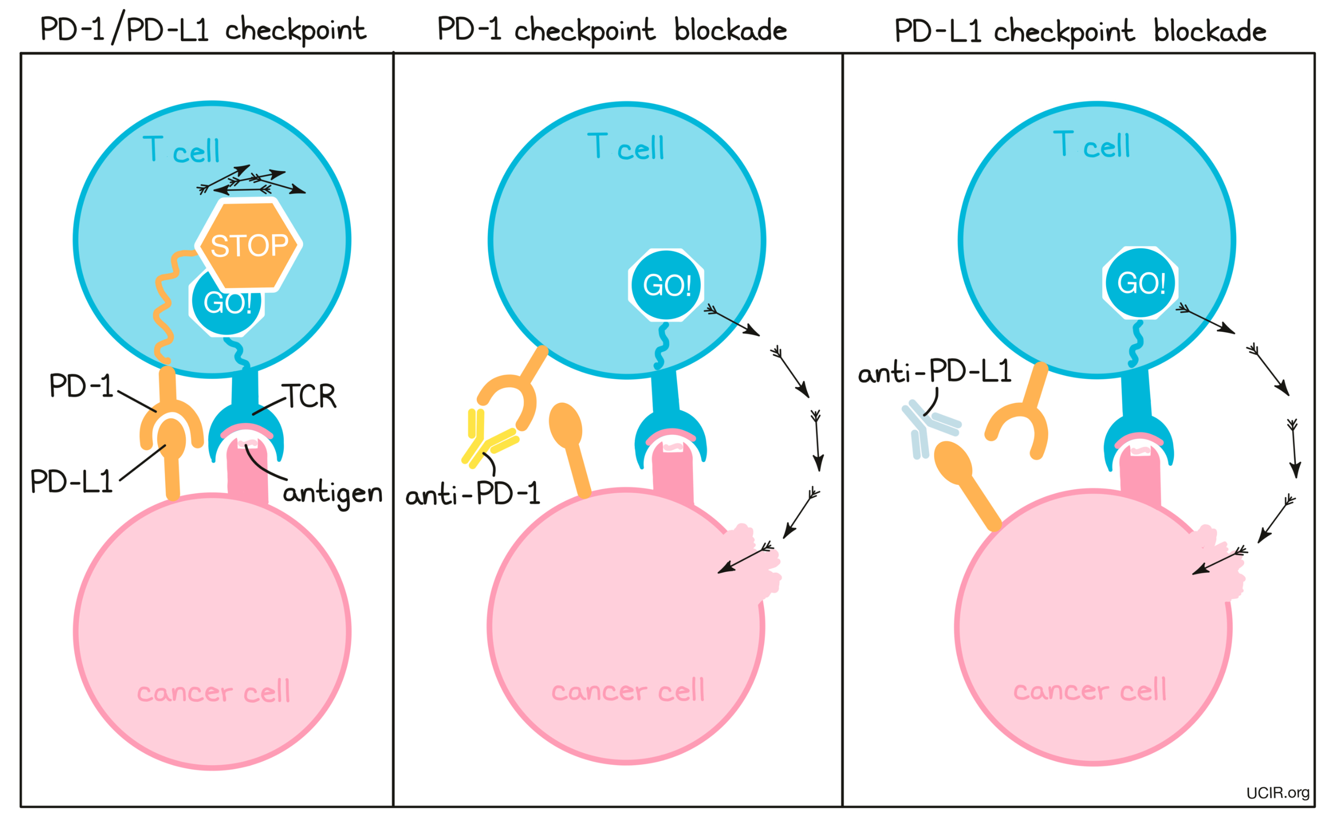 Checkpoint Blockade