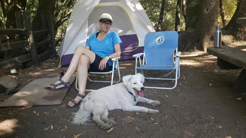 Camping at Sugarloaf with Finn
