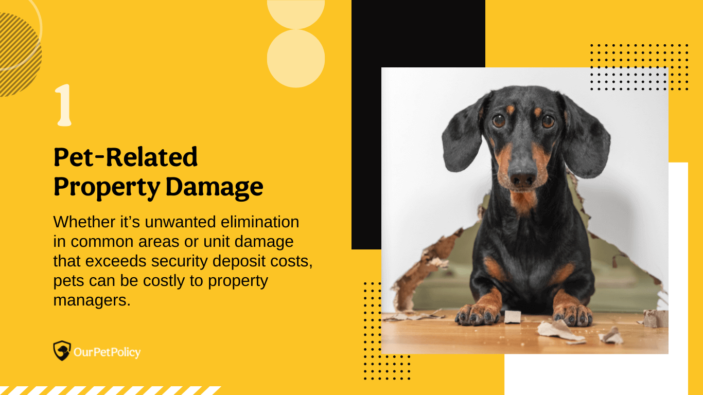 losing money to pet-related property damage