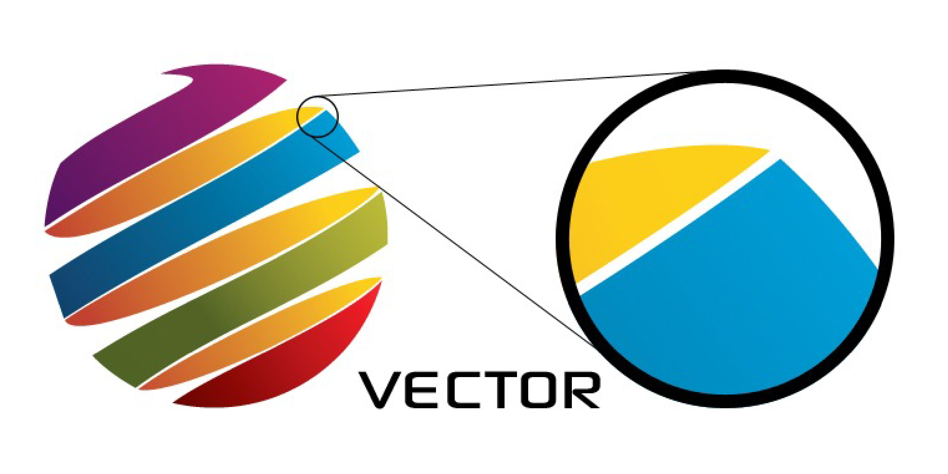 vector-image