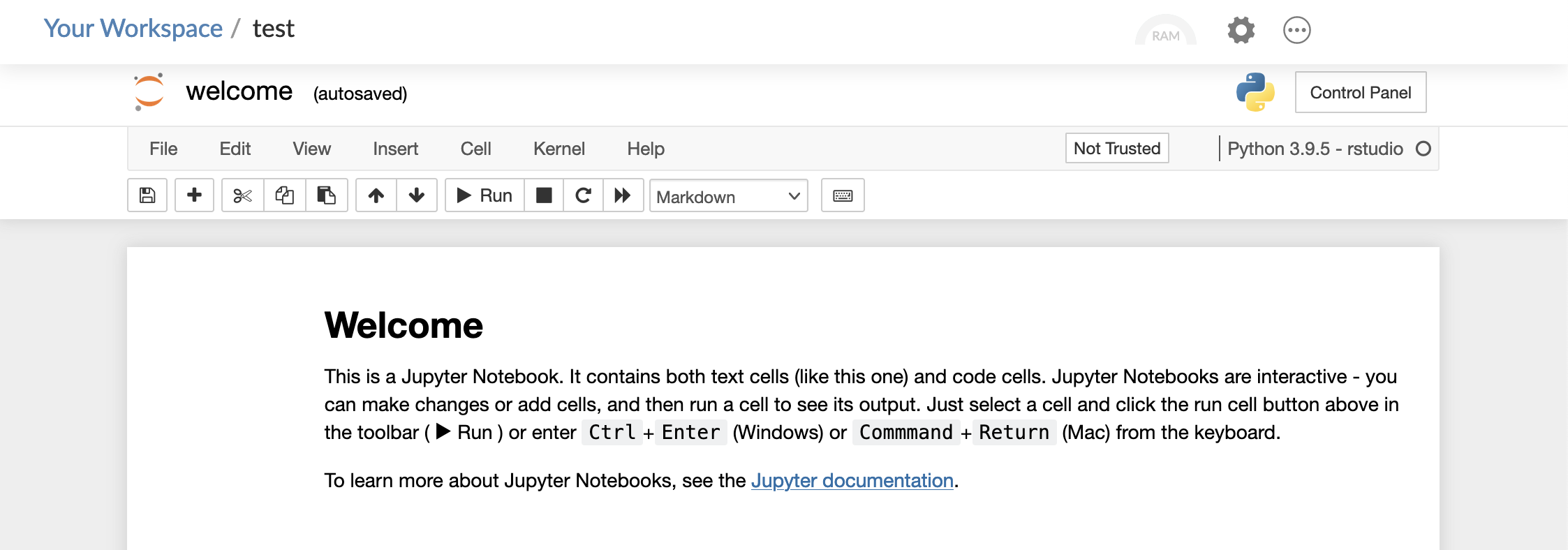 Screenshot of Jupyter notebook in RStudio cloud