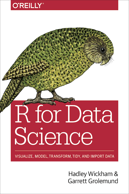 Cover of R for Data Science textbook