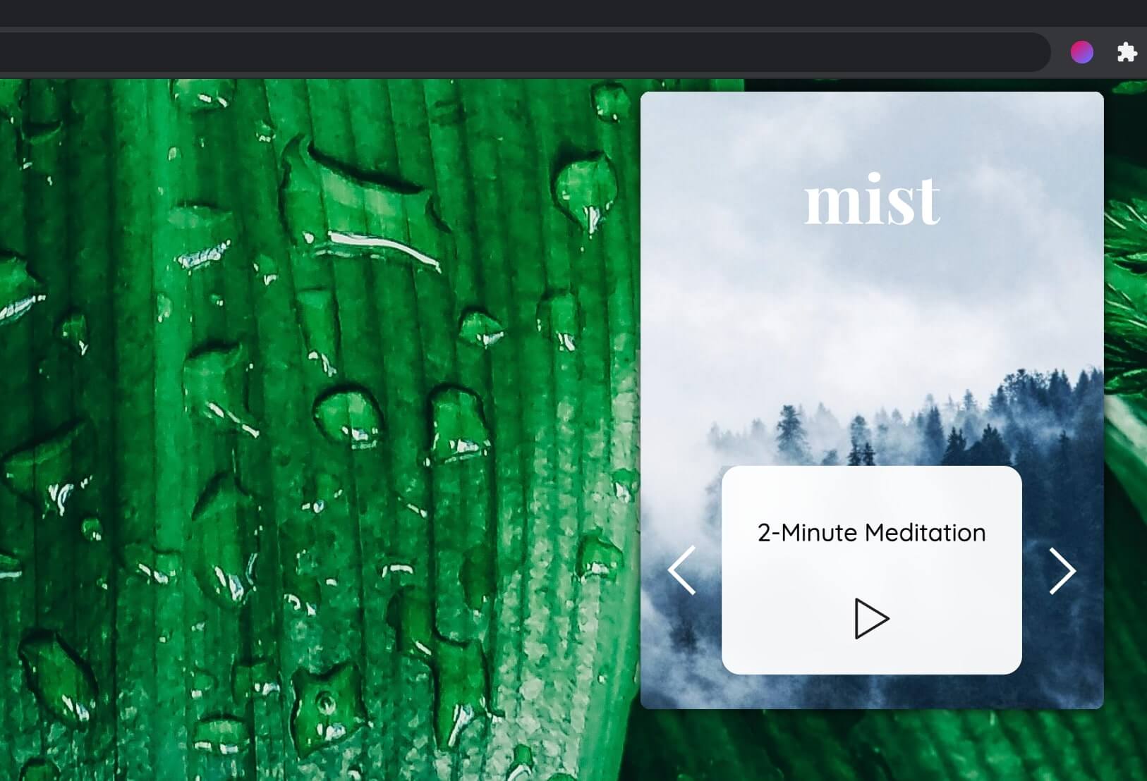 Screenshot of Mist Chrome Extension