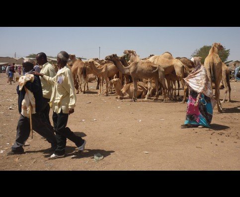 Somalia Camel Market 18