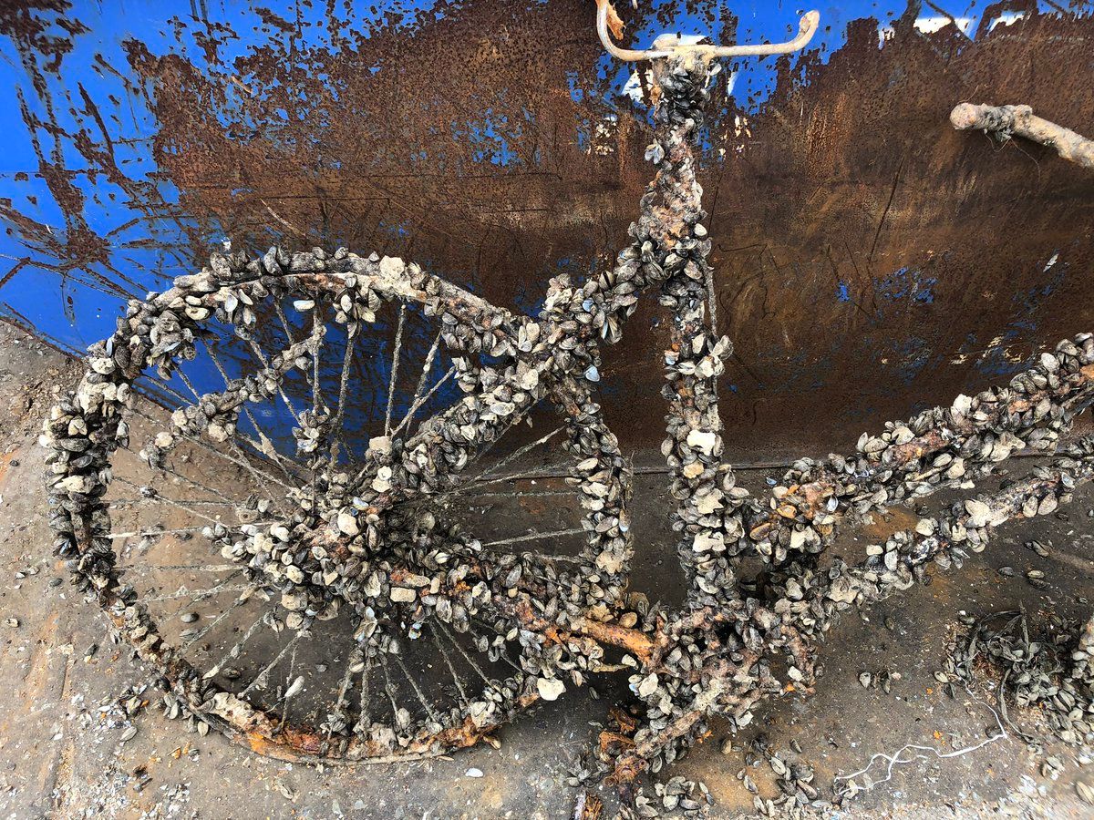 oh my god twitter doesn’t include alt text from images in their API