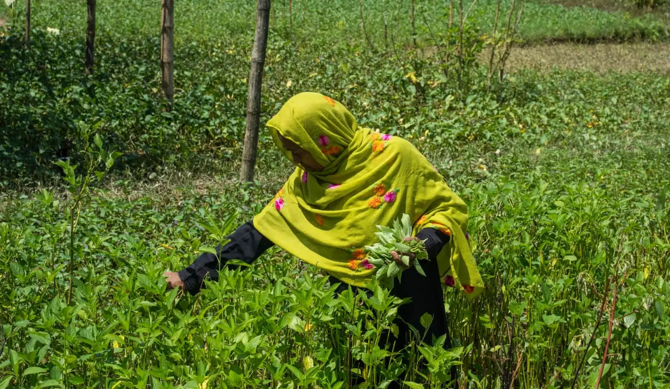 A woman gardening around her home