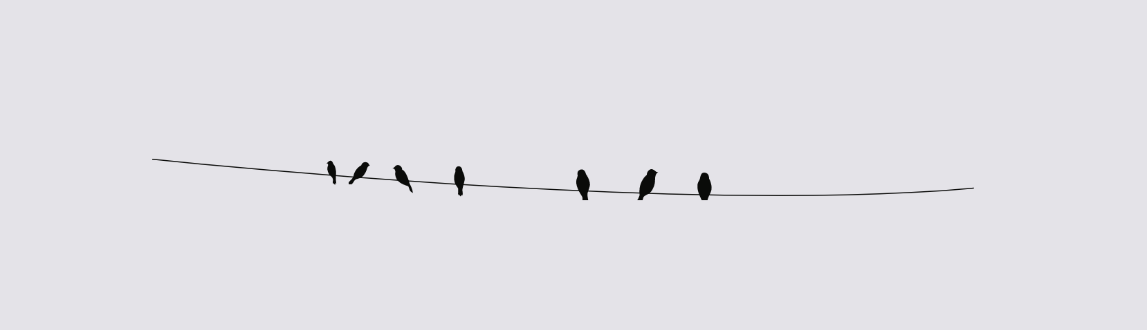The horizontal rule style I am using on my Web site. It is a vector illustration of a few bird silhouettes standing on a curvey horizontal black wire.