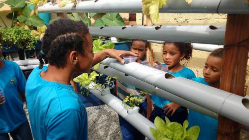 Educação ambiental em escola da capital mineira é um exemplo a ser seguido 8 undefined