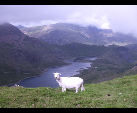 Wales Snowdonia 1