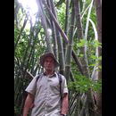 Laos Jungle 8