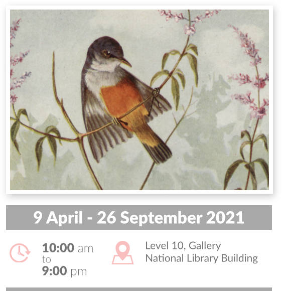 A painted drawing of a bird