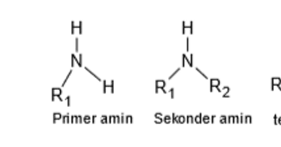 Aminler