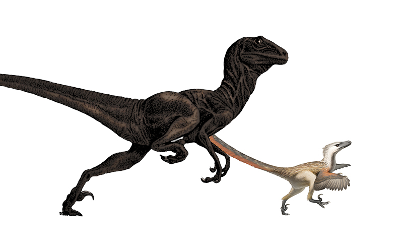 Como realmente eram os dinossauros de Jurassic World