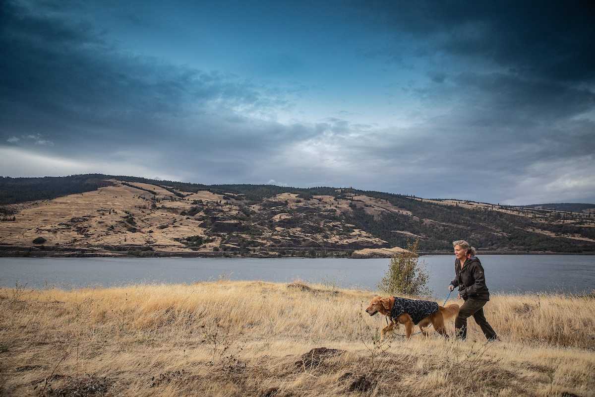 “The Adventure Dog” Holiday Gift Guide 2019