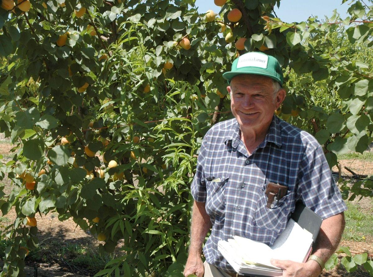Floyd Zaiger with field notebook in front of apricot tree