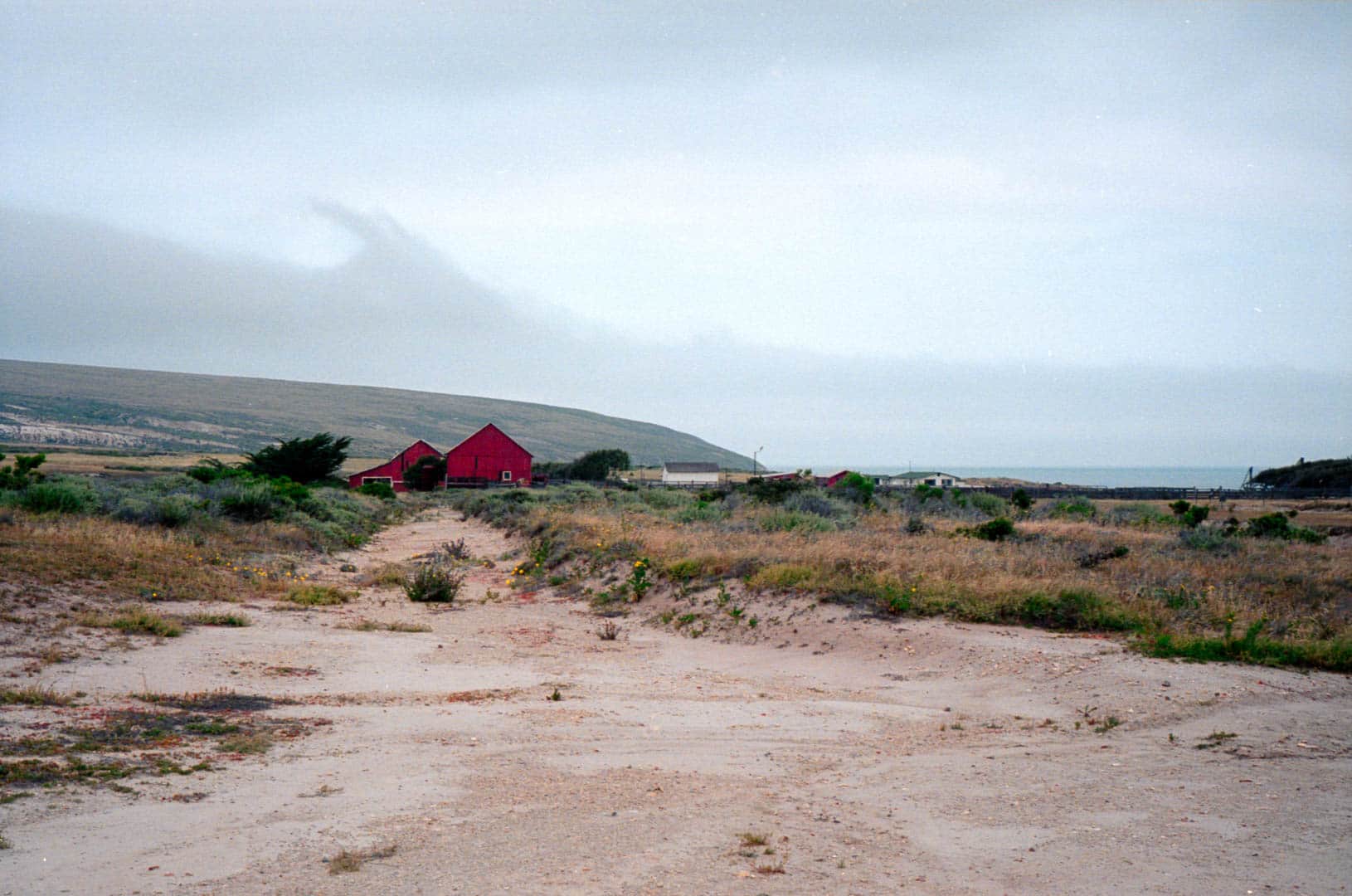 A red barn amidst a windswept costal landscape