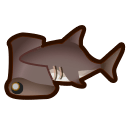 Hammerhead Shark