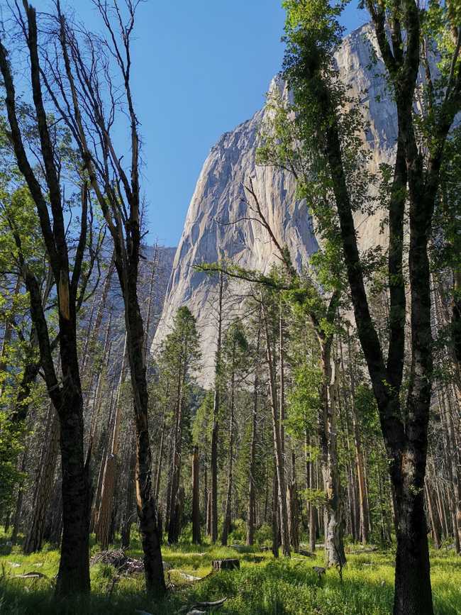 Parc du Yosemite