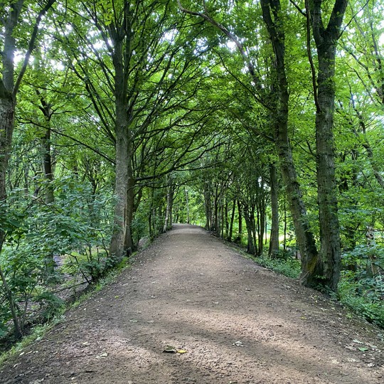 Bramley Fall Park & Woods - Discover Leeds