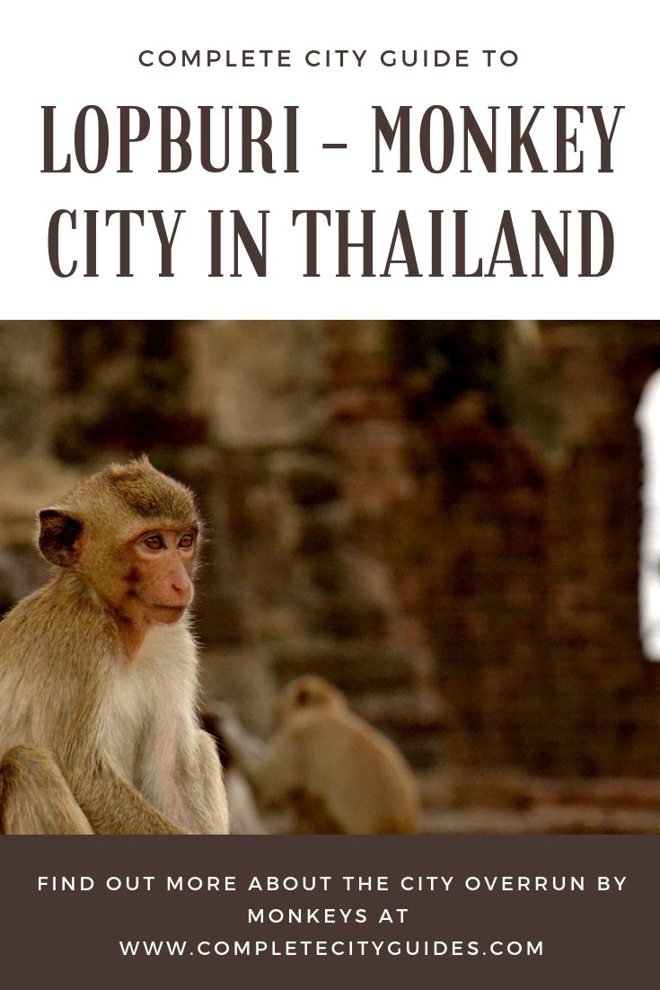 Exploring The Thailand Monkey City of Lopburi (and how to get there from Bangkok)