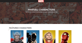 Screenshot of Project - Marvel Characters