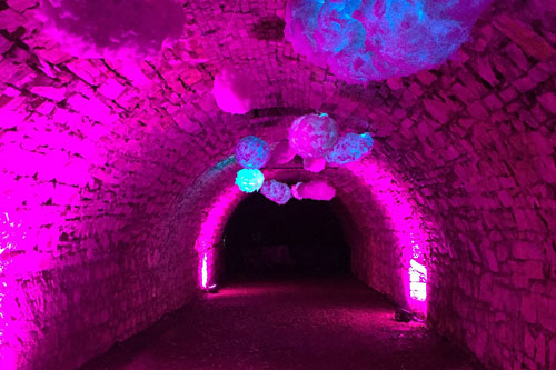 Inaugurazione di successo per CidneOn 2018