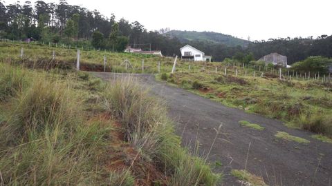 The Driveway