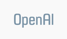 OpenAI Case Study