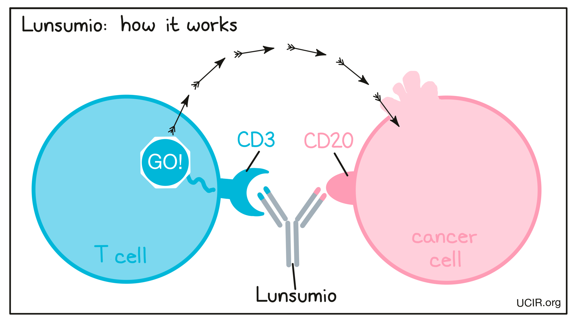 Illustration showing how Lunsumio works