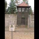 Auschwitz 8