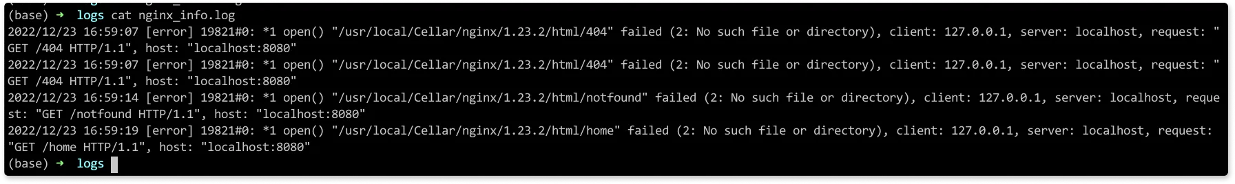 Nginx Error log example