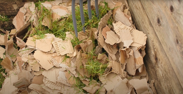 Mix of cardboard with grass