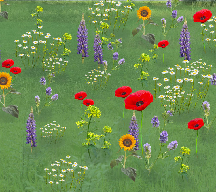 An illustration of flowers on a field.