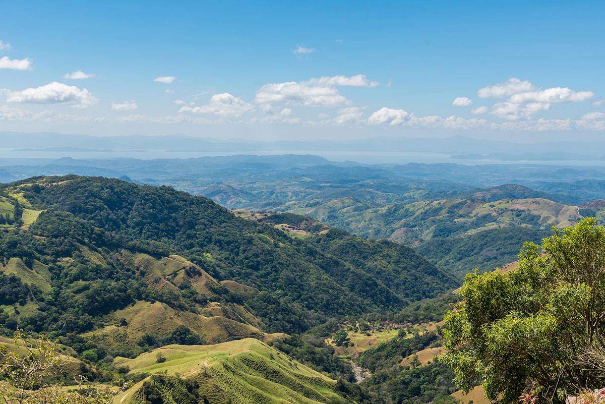 The luscious landscape of Monteverde, Costa Rica