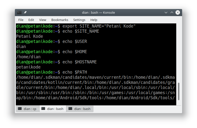 Variable Environtment on Linux