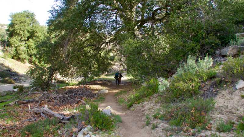 PCT 2019: Day 9, Tentsite at Mile 101.6 to Tentsite at Mile 114.7 ...