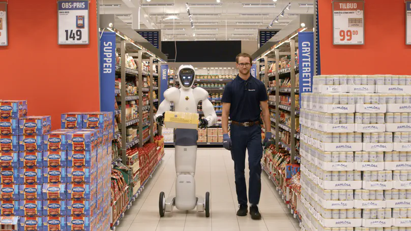 Let’s Prioritize Safety for Humanoid Robots, Not Flower Picking Movie Montages
