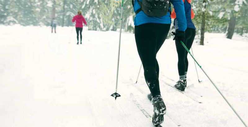 Skiiers cross country skiing in forest Skiiers cross country skiing in forest