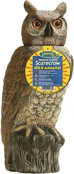 scare owls to scare birds away