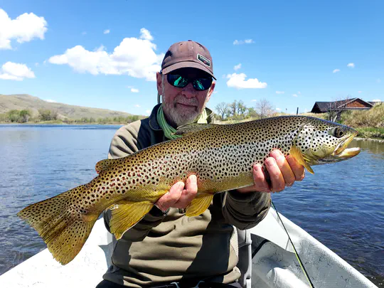 Montana Fly-Fishing