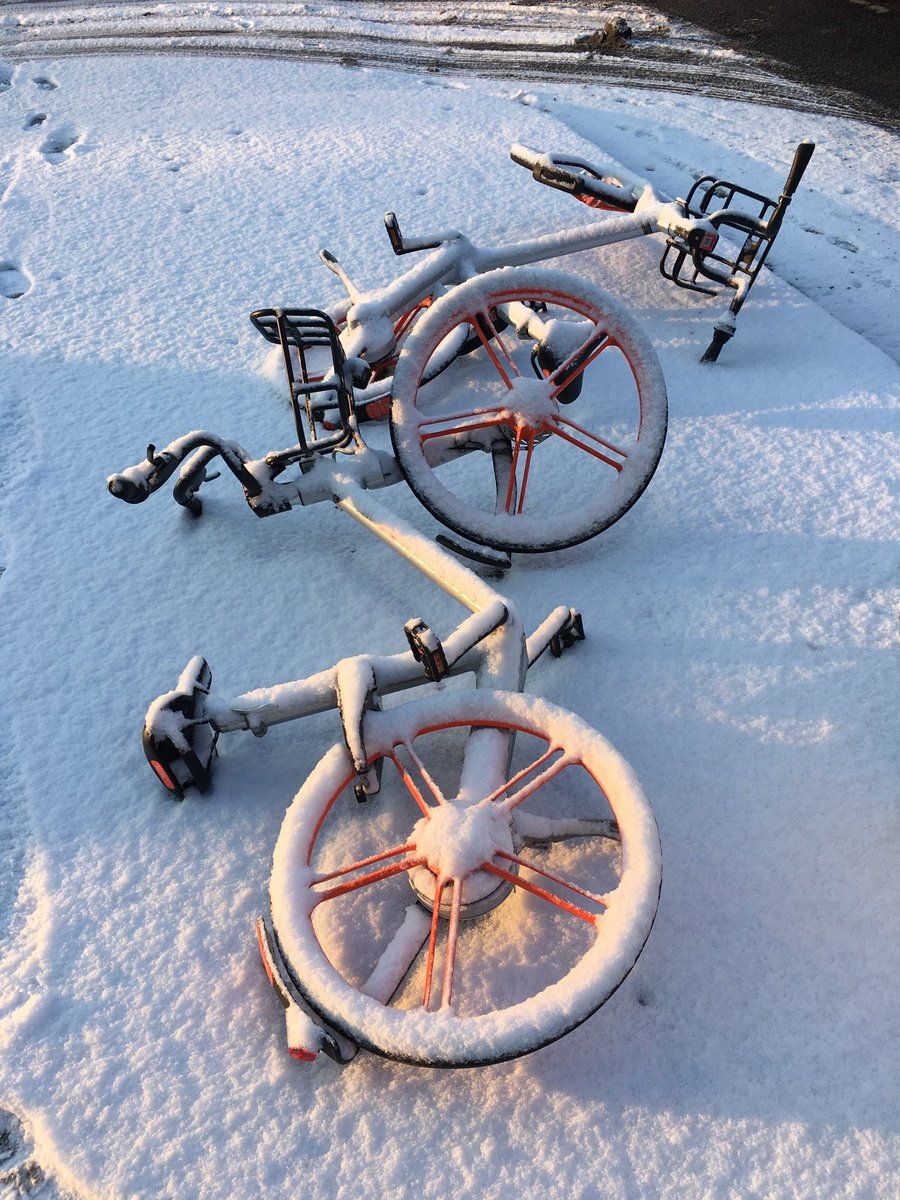 oh my god twitter doesn’t include alt text from images in their API