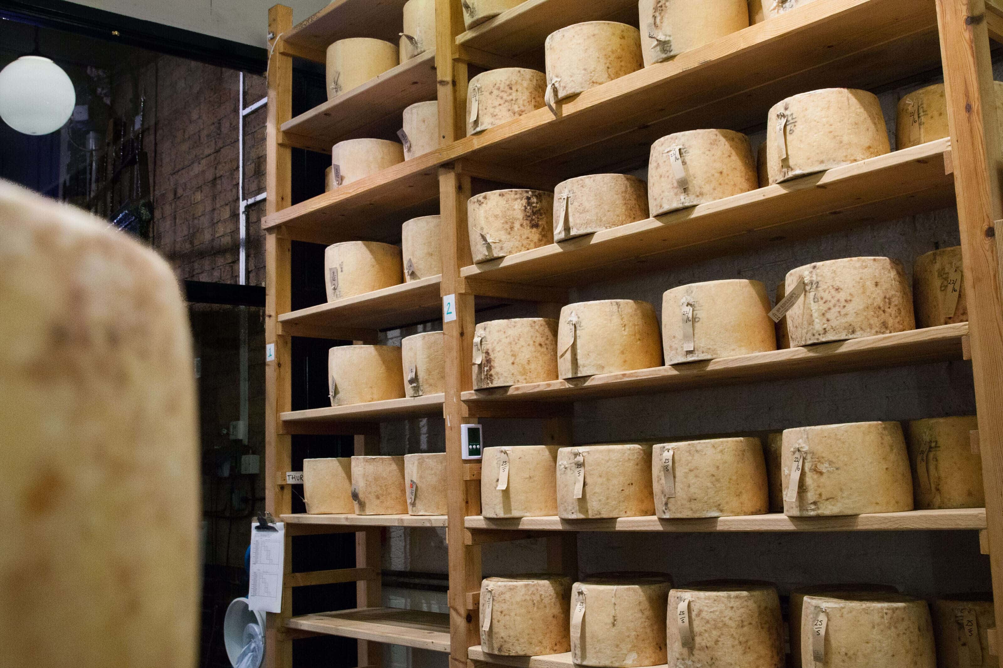 whole rounds of cheese stored on a shelf